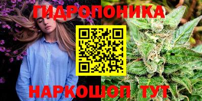 дживик Малгобек