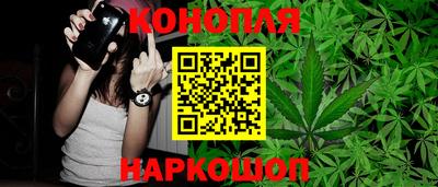 прущие крисы Можга