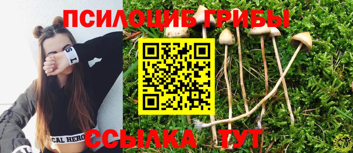 Хасавюрт  Псилоцибиновые грибы прущие грибы  Вход с VPN 