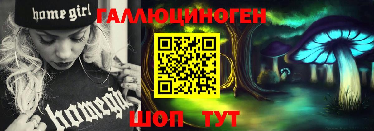 Галлюциногенные грибы Psilocybe Хасавюрт